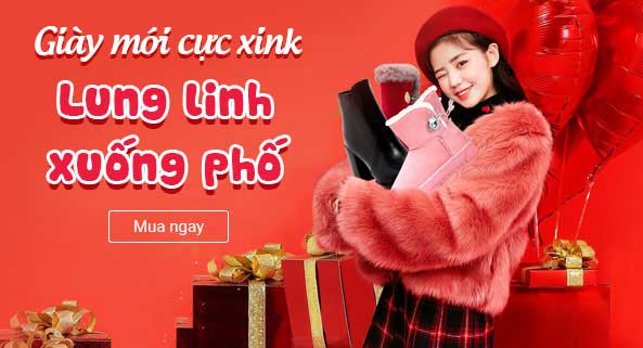 Hình ảnh 1